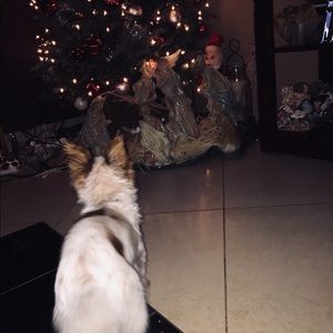 Meet your Posher, Lupita